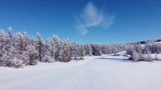 雪后树林与开阔雪地的冬日美景