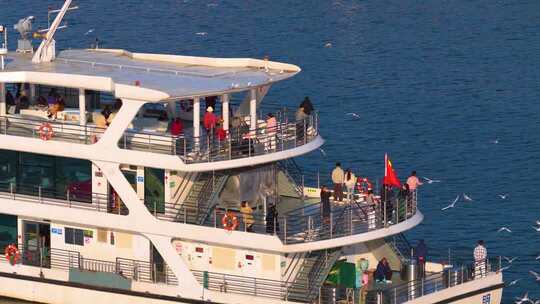 航拍滇池游船与海鸥