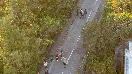 香港太平山顶绿色公园街景