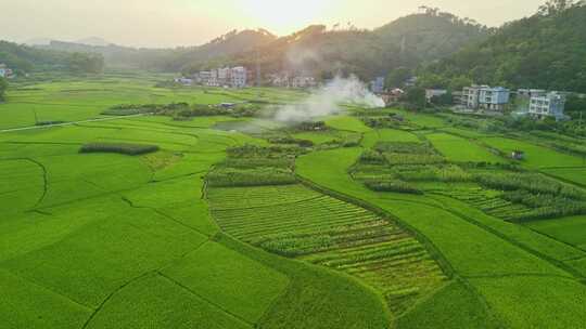 黄昏田野乡村农村