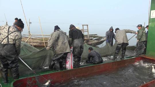 湖区渔民在围网拆除后捕鱼