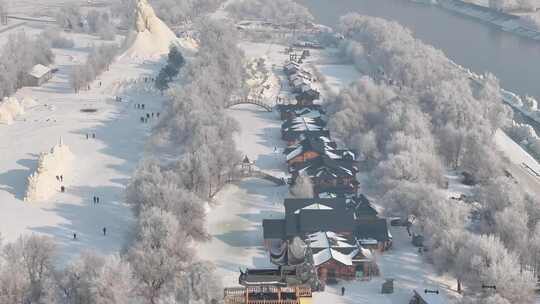 白雪覆盖田野中树木的独特景象