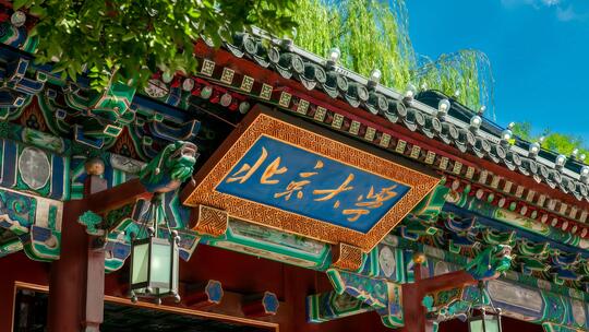 北京大学宣传
