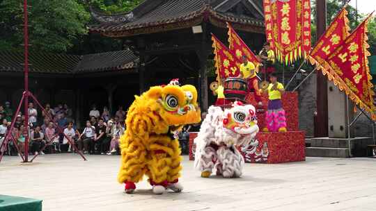 广东旅游佛山春节民俗表演舞狮活动现场