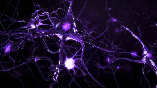 神经元细胞的动画。神经细胞在大脑中的活动视频素材模板下载