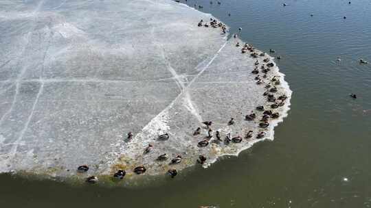 青海青海湖冬季湖面航拍视频