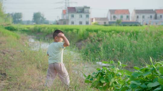 农村儿童在田埂上玩耍、奔跑