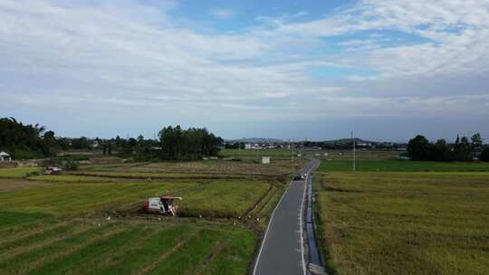 四川平原田野、稻田收获