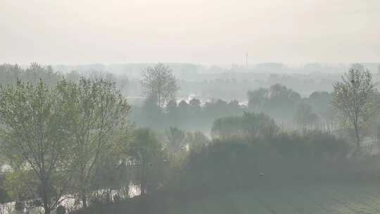 航拍农村乡镇河流生态河道清晨晨雾
