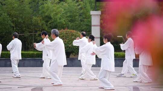 功夫 太极