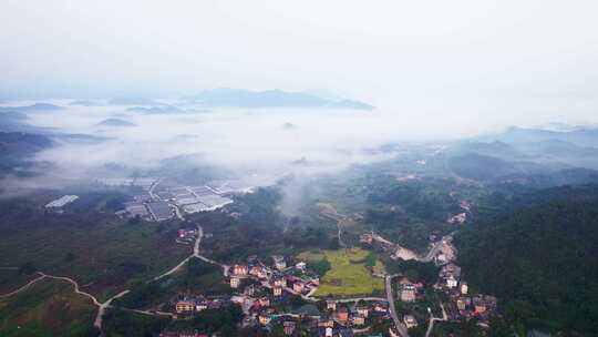 广州从化区桂峰村美丽乡村云海日出晨雾航拍