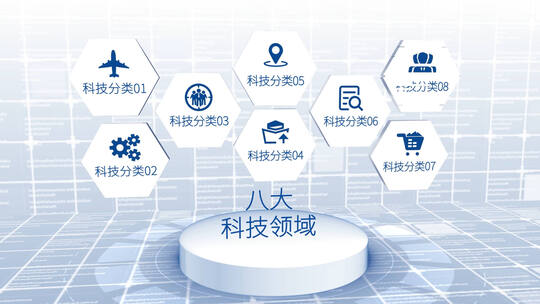 信息分类（简洁科技商务应用分类结构）