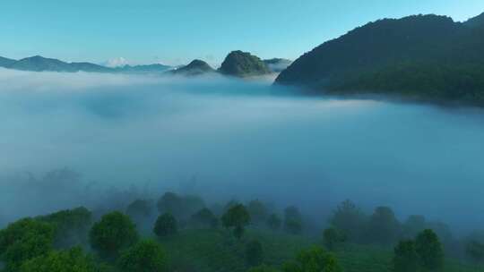 航拍茶山