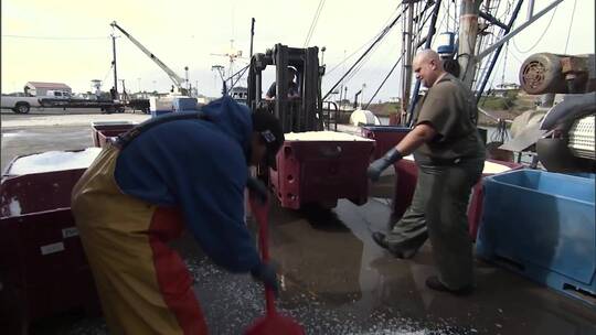 拖网渔船卸下捕获的货物视频素材模板下载