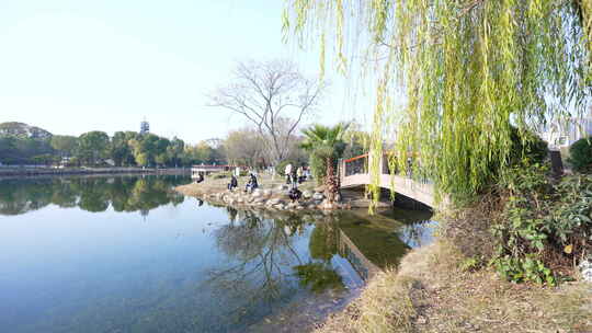 武汉东西湖常青花园中心公园风景