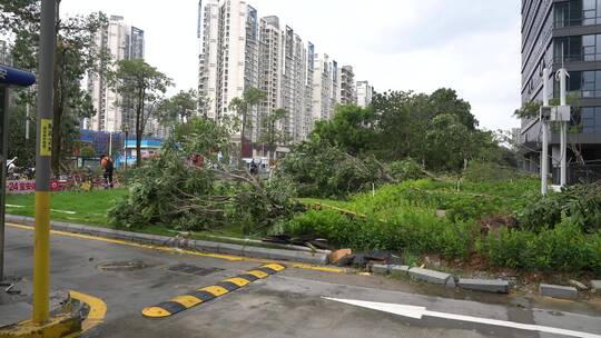 山竹 台风 台风山竹 中国沿海 沿海城市