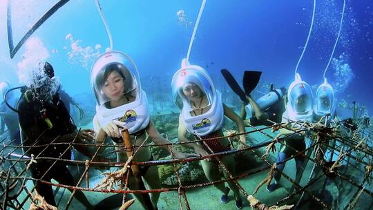 印尼美娜多海底漫步
