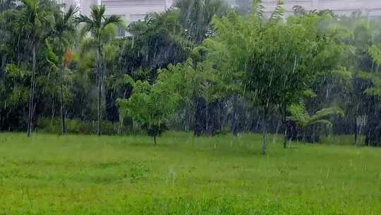 户外下雨视频