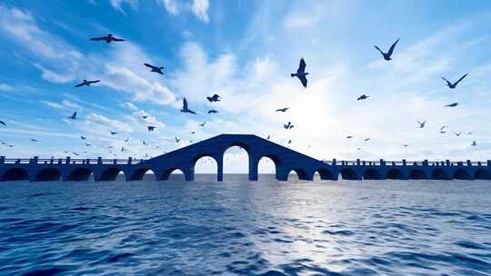 大海桥上漫天飞舞的海鸥