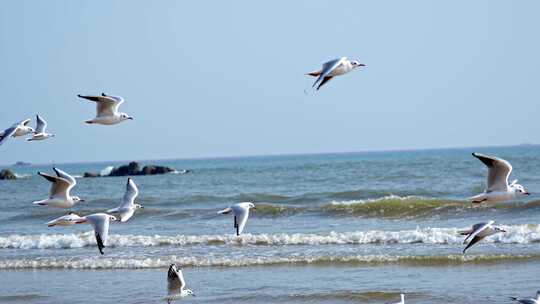 时间抽象 光影 时间意向镜头意境地产创意