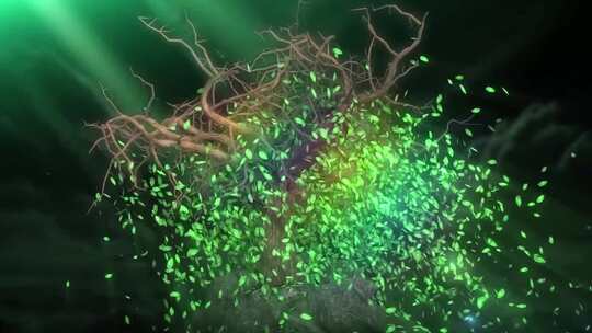 种子植物发芽寓意新生命诞生企业茁壮成长视频素材模板下载