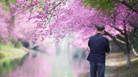 河边的桃花