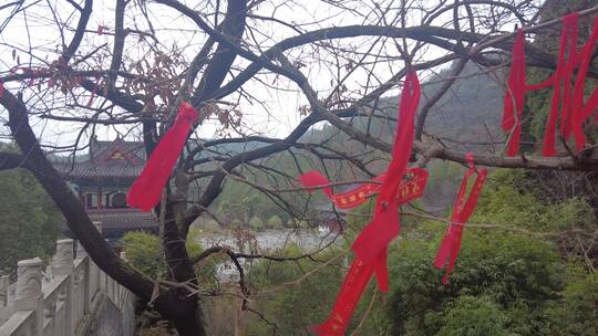 冬天里的郴州临武东林庵老树挂满祈福红丝带