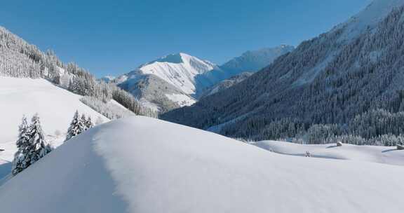 雪域高山森林景观航拍