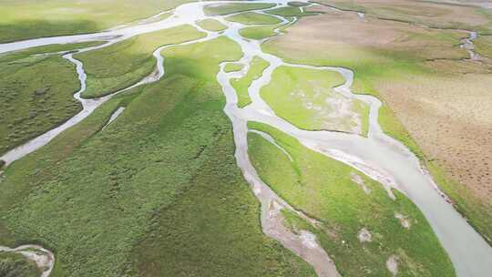 新疆巴音布鲁克开都河湿地