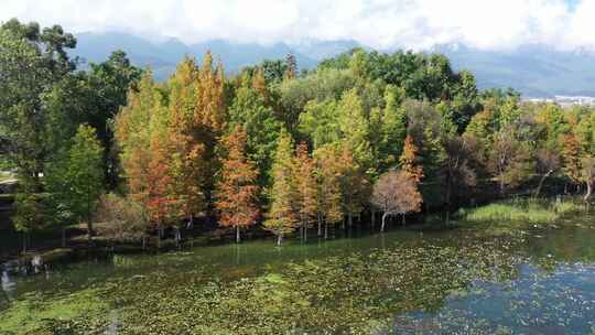 大理丽江洱海双廊秋景秋天景区景点航拍