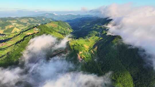 航拍高山草原森林树林云海云雾晴天阳光