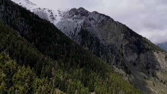 白雪覆盖的山脉和森林