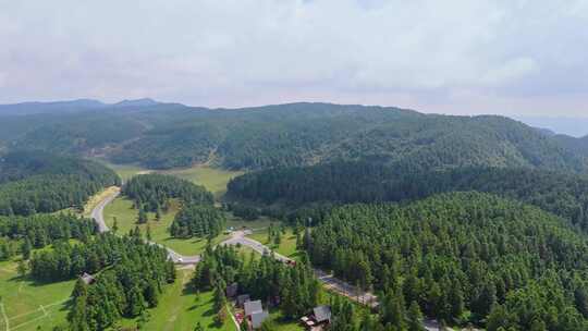 重庆武隆仙女山国家森林公园大草原航拍