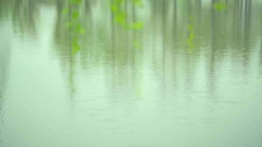 春天下雨唯美清新空镜雨景4k视频素材