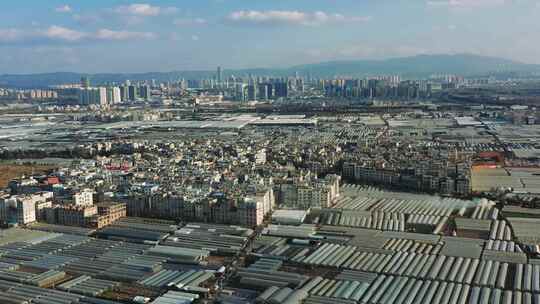 昆明斗南的鲜花蔬菜大棚