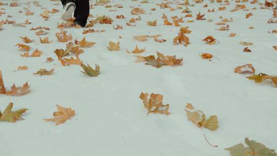 雪地中走过视频素材模板下载