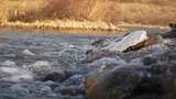 水 河流 小溪 风景 水流 河道 河 风光高清在线视频素材下载