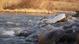 水 河流 小溪 风景 水流 河道 河 风光高清在线视频素材下载