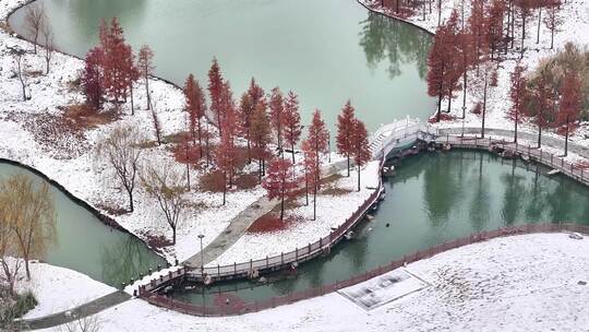 航拍湿地公园雪景树林湖岛视频素材模板下载