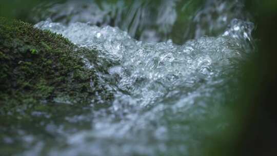 水源溪流 清澈溪流 溪水生态植被