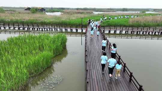 杭州湾湿地公园马拉松