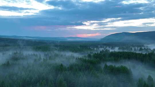 航拍夕阳下的云雾森林