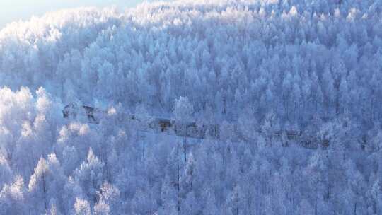 穿越大兴安岭雪森林的火车250106 (1)