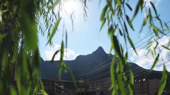 蓝天下的山峰柳树前景