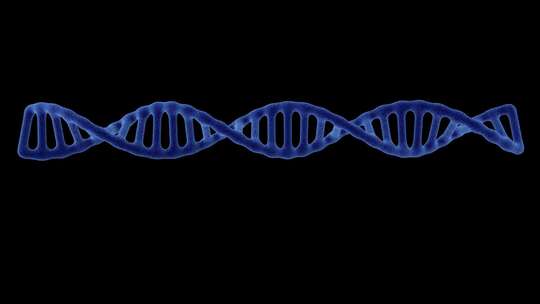 数字DNA、人类基因组的概念动画