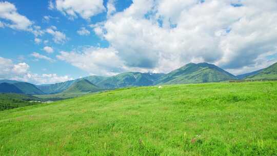 新疆北疆阿勒泰禾木村夏天高山草原风景航拍