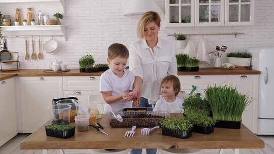 一个家庭在家里种植微绿植物，母亲和孩子给