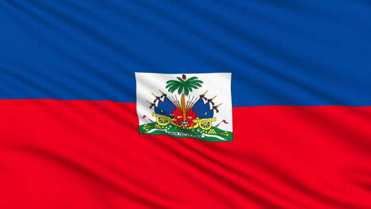 海地国旗视频素材模板下载