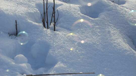 雪地里飞起了泡泡 唯美浪漫冬日雪景泡泡