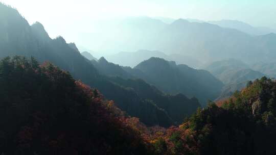 伏牛山老界岭群山日出风景